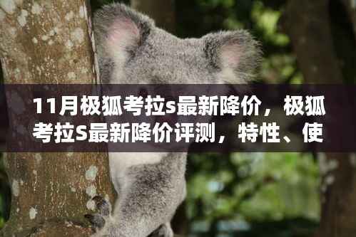 极狐考拉S最新降价解析,特性、用户体验与目标用户分析