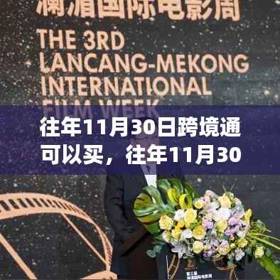 往年11月30日跨境通购买指南,产品特性、体验与目标用户群体深度解析