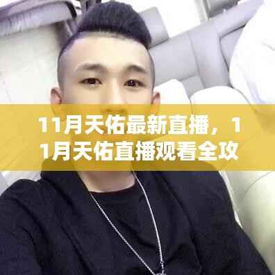 11月天佑直播观看全攻略,轻松进入直播世界的步骤
