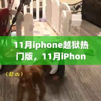 深度探讨与案例分析,揭秘十一月iPhone越狱热门版