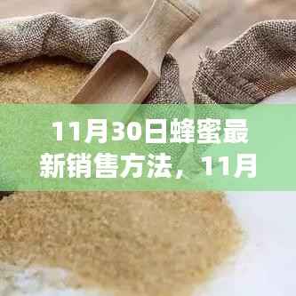 11月30日蜂蜜最新销售策略,开启甜蜜事业新篇章