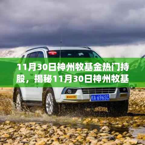 揭秘神州牧基金热门持股策略,焦点与趋势洞察(11月30日)