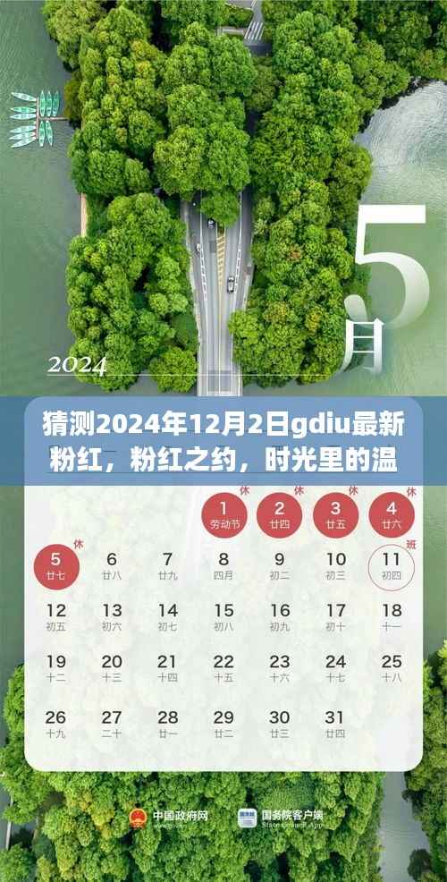 时光里的温馨相遇,2024年gdiu最新粉红之约猜想
