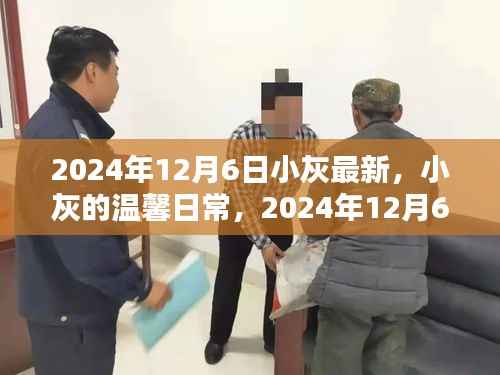 小灰的温馨日常,2024年12月6日的快乐时光记录