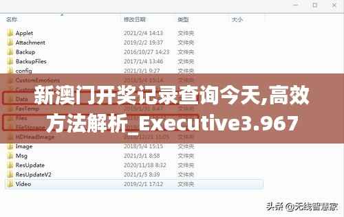 新澳门开奖记录查询今天,高效方法解析_Executive3.967
