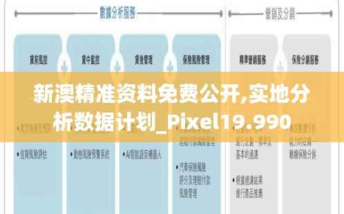 新澳精准资料免费公开,实地分析数据计划_Pixel19.990