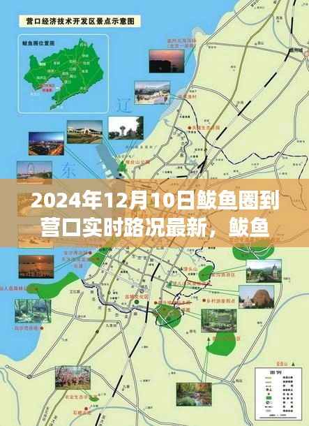 鲅鱼圈至营口之路,路况实时更新,探寻学习之源与成就感的累积之路