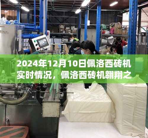 佩洛西砖机翱翔实况,学习赋予的力量与自信