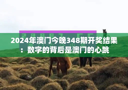 2024年澳门今晚348期开奖结果:数字的背后是澳门的心跳