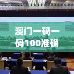 澳门一码一码100准确349期:数字游戏的高阶玩法