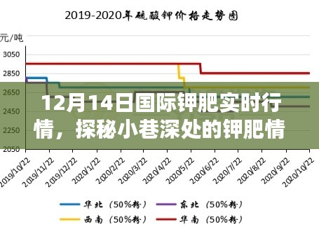探秘钾肥情报驿站,揭秘国际钾肥实时行情,掌握最新资讯速览(12月14日)
