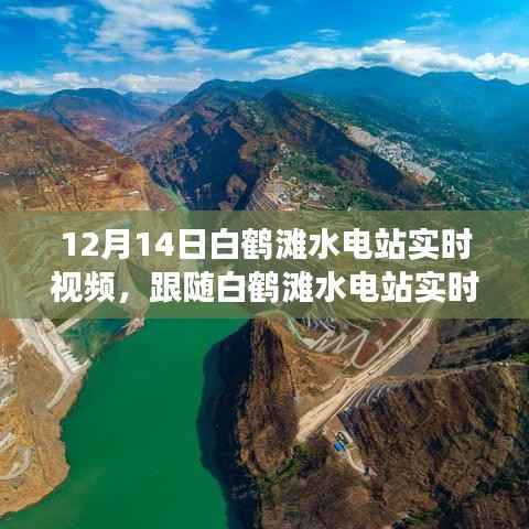 白鹤滩水电站实时探秘,自然美景的轻松之旅开启!