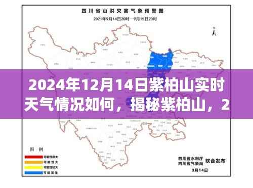 揭秘紫柏山,2024年12月14日实时天气洞察与详细情况分析