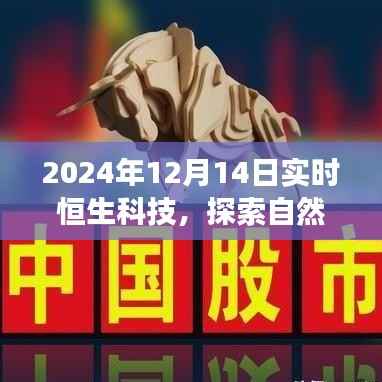 恒生科技与自然探索,寻找内心的平静与喜悦