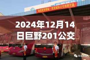 巨野公交巨野201线路运营分析与实时公交服务的双刃剑效应