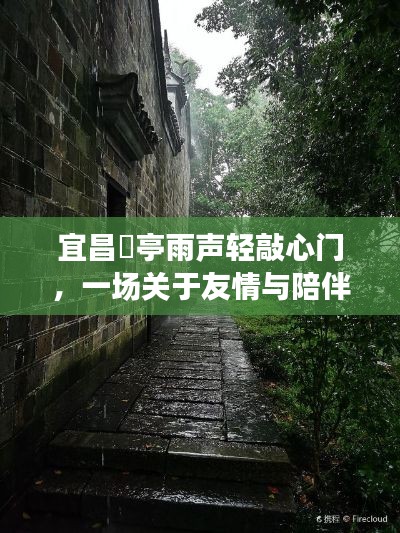 雨中奇遇,宜昌猇亭的友情与陪伴