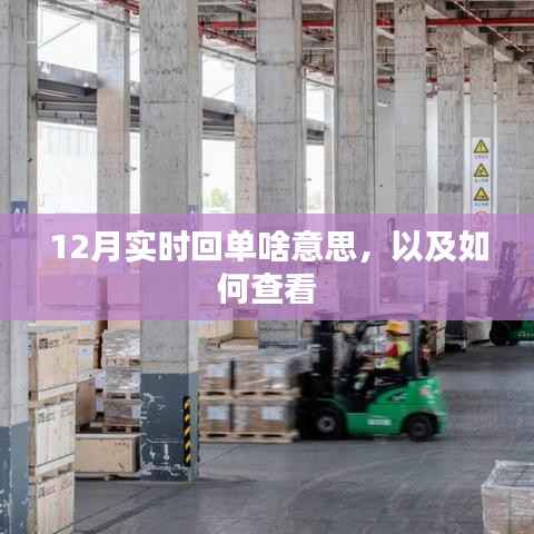 实时回单解读与查看方法，12月操作指南