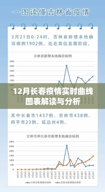 长春疫情实时曲线图表解读与分析,最新数据解析