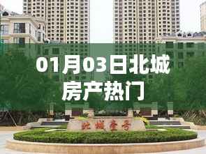 北城房产热门资讯,01月03日最新动态