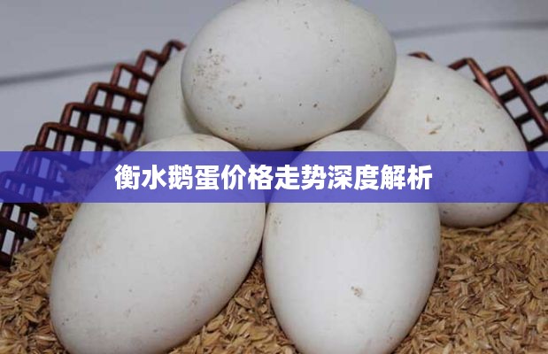 不修边幅 第2页