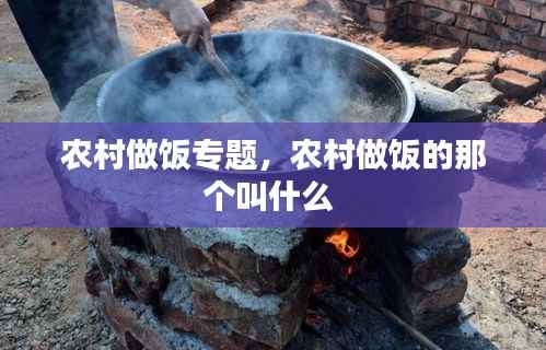 农村做饭专题,农村做饭的那个叫什么