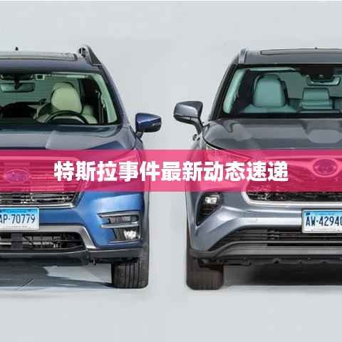 特斯拉事件最新动态速递