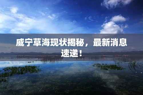 威宁草海现状揭秘,最新消息速递!