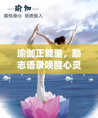 瑜伽正能量,励志语录唤醒心灵力量