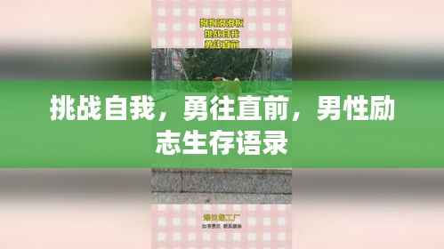 挑战自我,勇往直前,男性励志生存语录