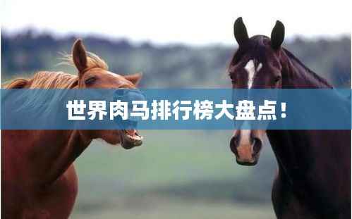 百不得一 第3页