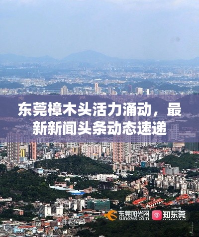 东莞樟木头活力涌动,最新新闻头条动态速递