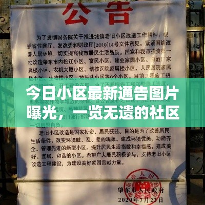今日小区最新通告图片曝光,一览无遗的社区最新动态