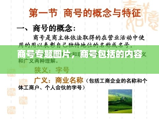 商号专题图片,商号包括的内容