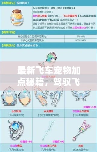 最新飞车宠物加点秘籍,驾驭飞行伙伴的终极指南