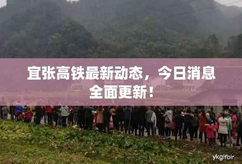 宜张高铁最新动态,今日消息全面更新!