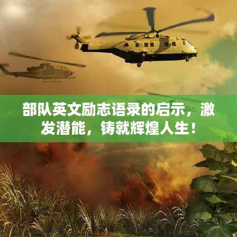 资料中心 第115页