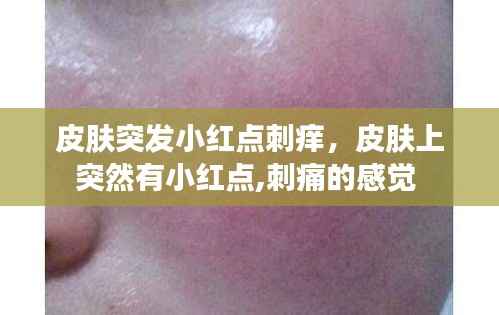 半新不旧 第2页