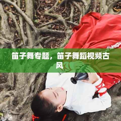 笛子舞专题,笛子舞蹈视频古风