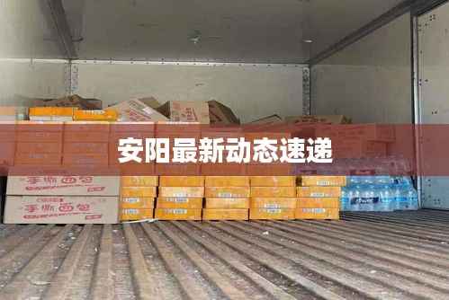 安阳最新动态速递