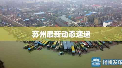苏州最新动态速递